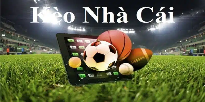 Kèo nhà cái OK365 là lựa chọn hàng đầu của các tay chơi